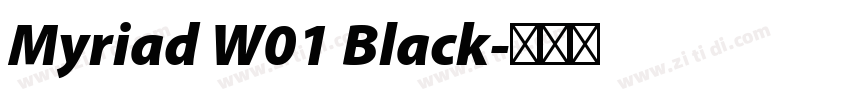 Myriad W01 Black字体转换